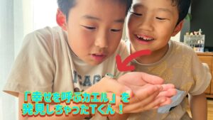 新種発見⁉︎